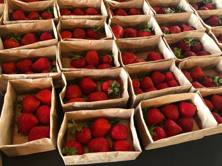 北海道うらかわ夏イチゴすずあかね24玉×2(合計約600g)