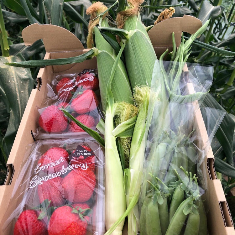 野菜セット(季節により変わる)